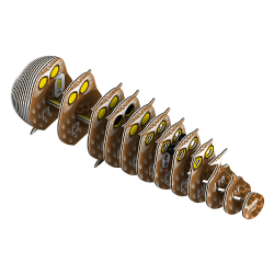 Eugy Owl (ctn 6 pcs)