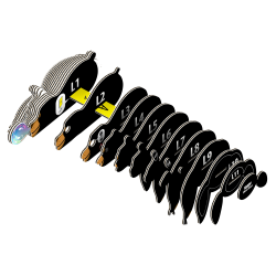 Eugy Black Bear (ctn 6 pcs)