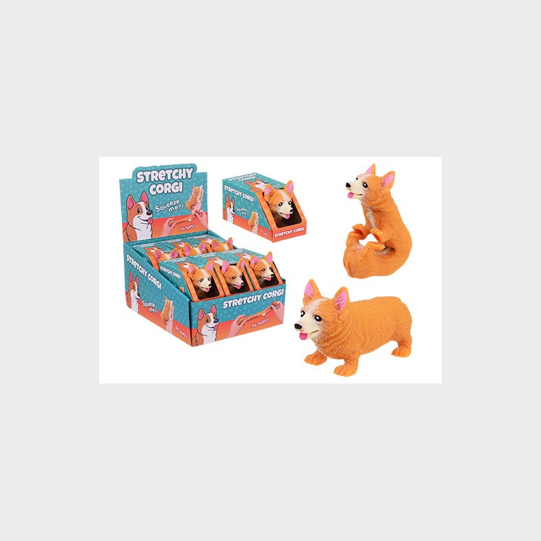 Stretchy Corgi dogs in display 