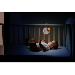 Next 2 Dreams - Pink (ctn 6 pcs)