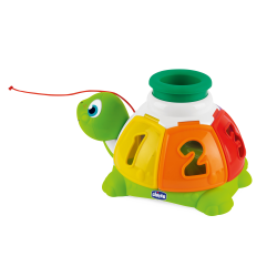 Turtle Sort and Surprise (ctn 6 pcs)