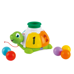 Turtle Sort and Surprise (ctn 6 pcs)