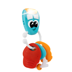 Electronic Keys (ctn 6 pcs)