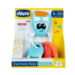 Electronic Keys (ctn 6 pcs)