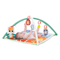 Magic Forest Relax &amp; Play Gym (ctn 6 pcs)