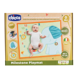 Chicco -Pictures Playmat (ctn 6 pcs)