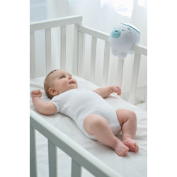 Polar Bear - Blue (ctn 4 pcs)