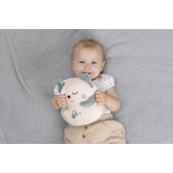 Purring Cat (ctn 6 pcs)