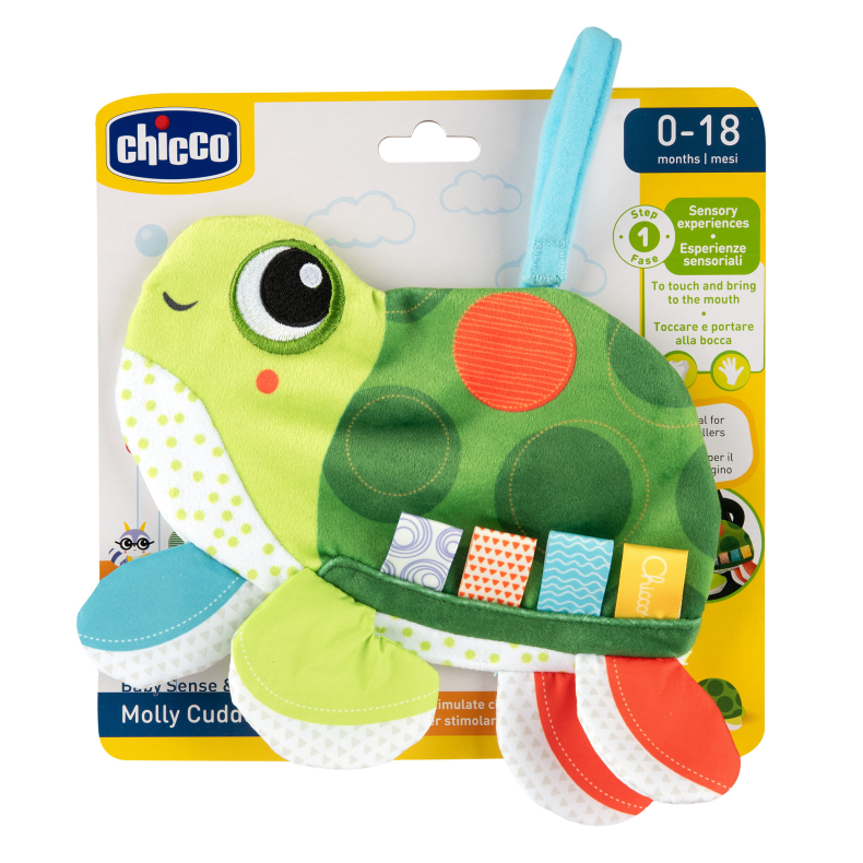Molly Cuddly Turtle (ctn 6 pcs)