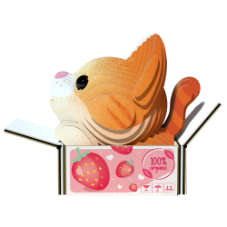 Eugy-PUMPKIN (ctn 6 pcs)