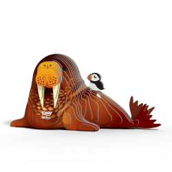 Eugy-Walrus (ctn 6 pcs)