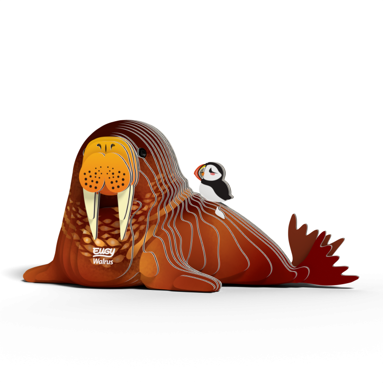 Eugy-Walrus (ctn 6 pcs)