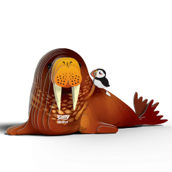 Eugy-Walrus (ctn 6 pcs)
