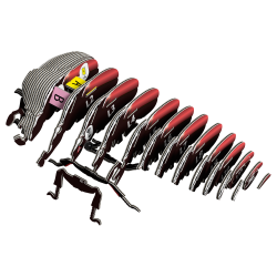 Eugy-Goliath Beetle (ctn 6 pcs)