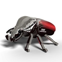 Eugy-Goliath Beetle (ctn 6 pcs)