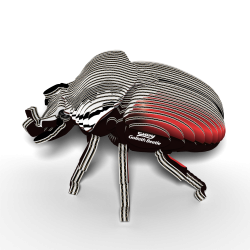 Eugy-Goliath Beetle (ctn 6 pcs)