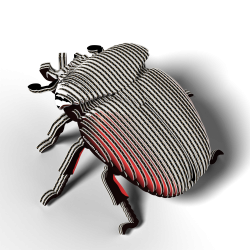 Eugy-Goliath Beetle (ctn 6 pcs)