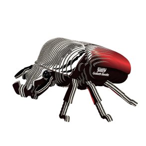 Eugy-Goliath Beetle (ctn 6 pcs)