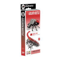 Eugy-Goliath Beetle (ctn 6 pcs)