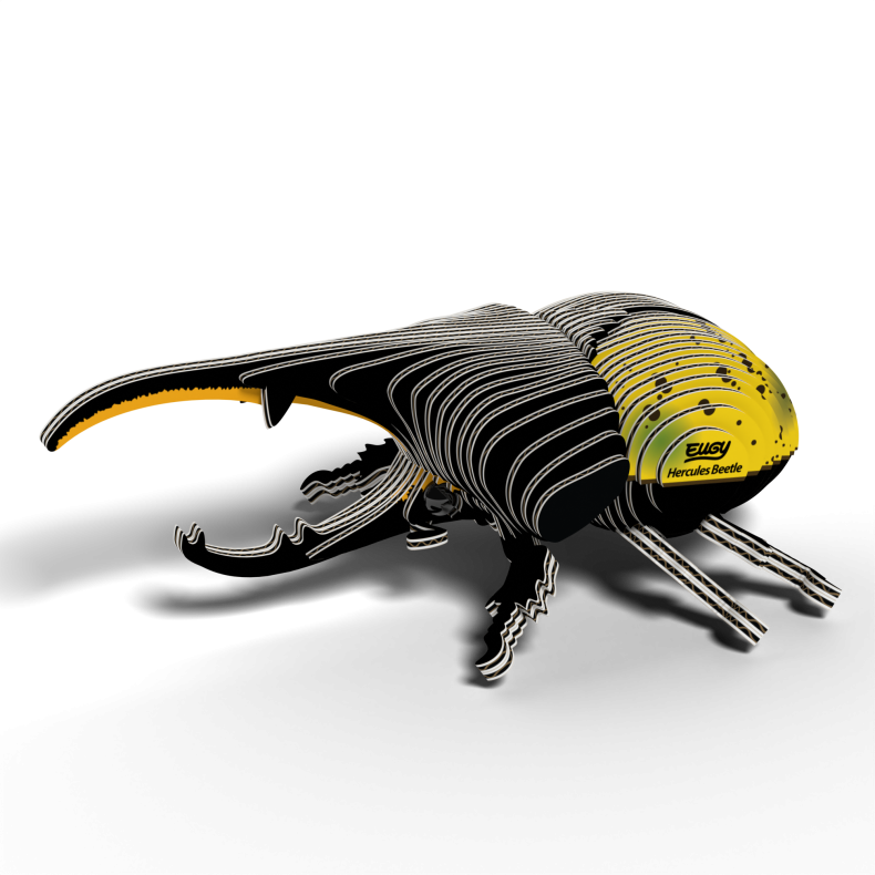 Eugy-Hercules Beetle (ctn 6 pcs)