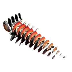 Eugy-Red Panda (ctn 6 pcs)