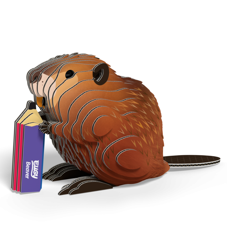 Eugy-Beaver (ctn 6 pcs)
