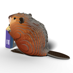 Eugy-Beaver (ctn 6 pcs)
