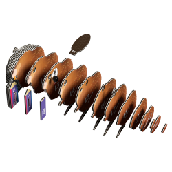 Eugy-Beaver (ctn 6 pcs)