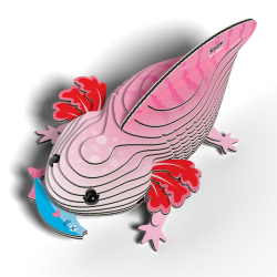 Eugy - Axolotl (ctn 6 pcs)