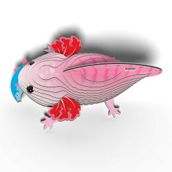 Eugy - Axolotl (ctn 6 pcs)
