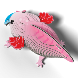 Eugy - Axolotl (ctn 6 pcs)