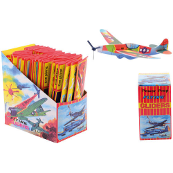 EVA planes in display 12 assorted (ctn 48 pcs)
