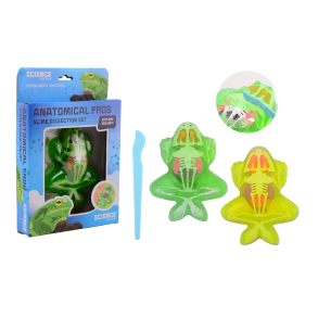 Science Explorer frog anatomy slime (ctn 12 pcs)