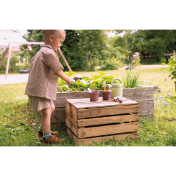 Dantoy - Green Garden Planting Set (ctn 6 pcs)