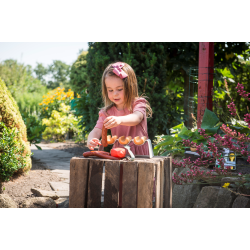 Dantoy - Green Garden Hotdogset (ctn 6 pcs)