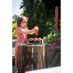 Dantoy - Green Garden Hotdogset (ctn 6 pcs)