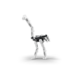 Zpiiel - ZOOZ The Ostrich