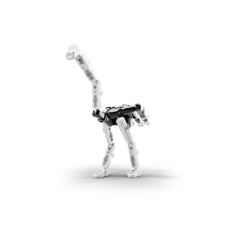 Zpiiel - ZOOZ The Ostrich