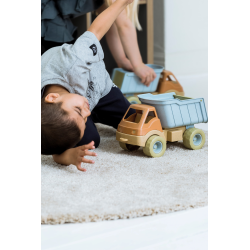 Dantoy - BIO Truck (ctn 8 pcs)