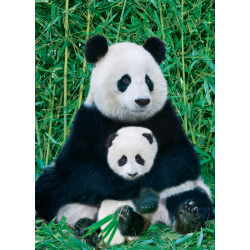 Panda &amp; Baby, 1000 pcs, Smart Cut (ctn 6 pcs)