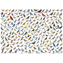 The World of Birds, 1000 pcs, Smart Cut (ctn 6 pcs)