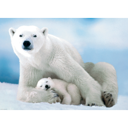 Polar Bear &amp; Baby, 1000 pcs, Smart Cut (ctn 6 pcs)