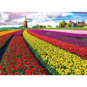 Tulip Fields Netherlands, 1000 pcs, Smart Cut (ctn 6 pcs)