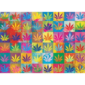 Wonderland (ctn 6 pcs)