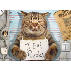 Felony Cat by Paul Normand, 500 pcs (ctn 6 pcs)