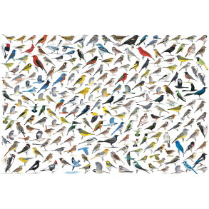 The World of Birds, 2000 pcs (ctn 6 pcs)